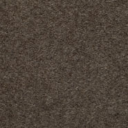 z Divina Melange 260  Kvadrat